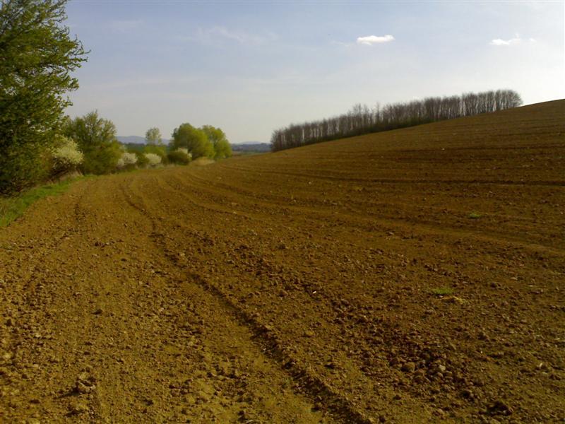200704091675 .jpg